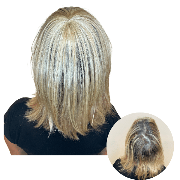 Crown - foto web (1)